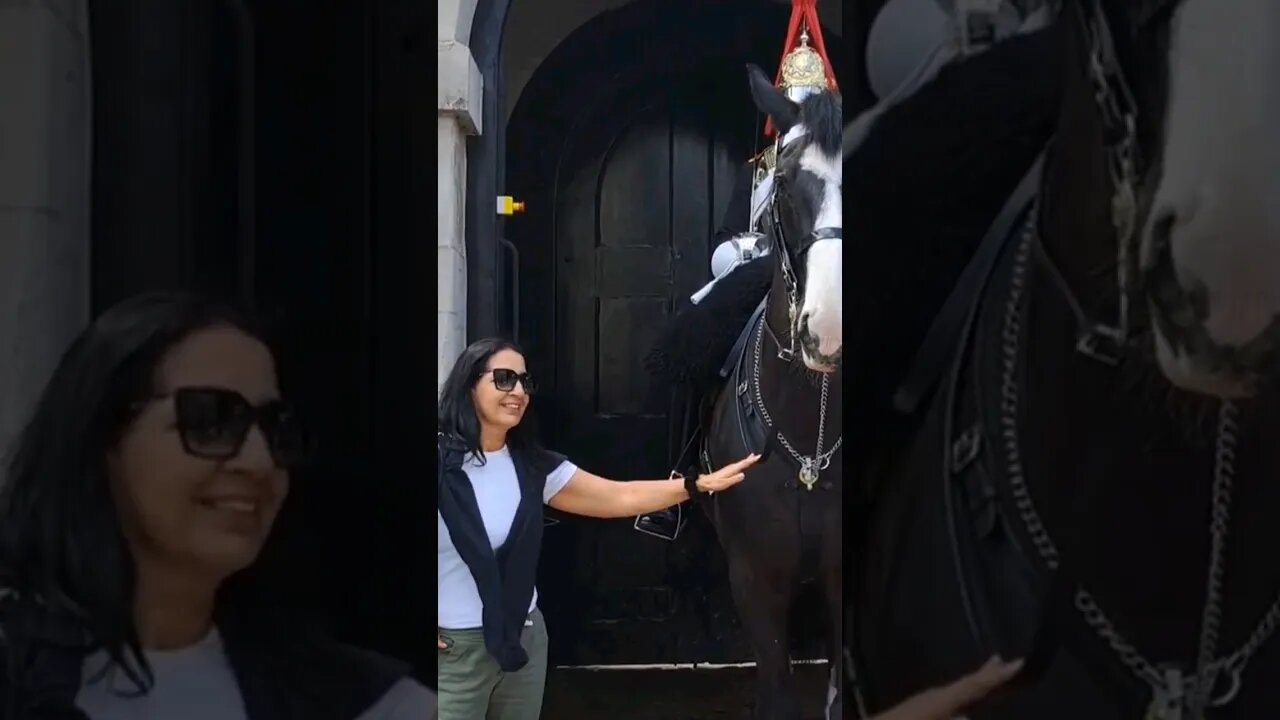 You can touch the Reins he is on orders not to shout #horseguardsparade