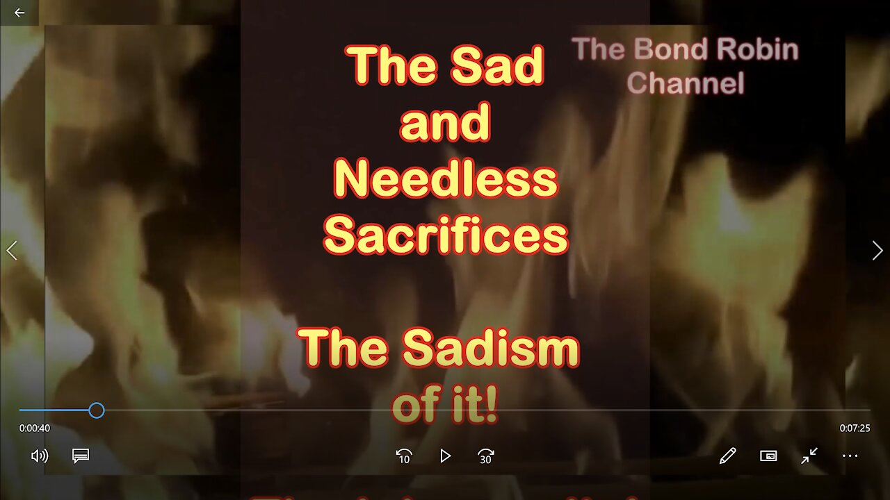 The Sad and Needless Sacrifices