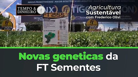 Novas geneticas da FT Sementes