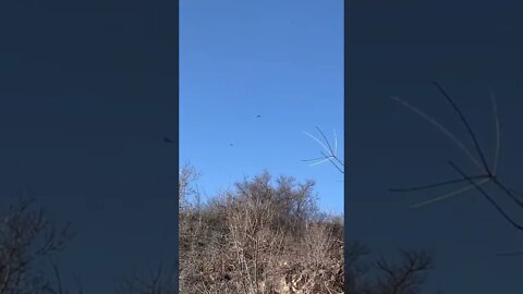 Ukraine War - SU-30