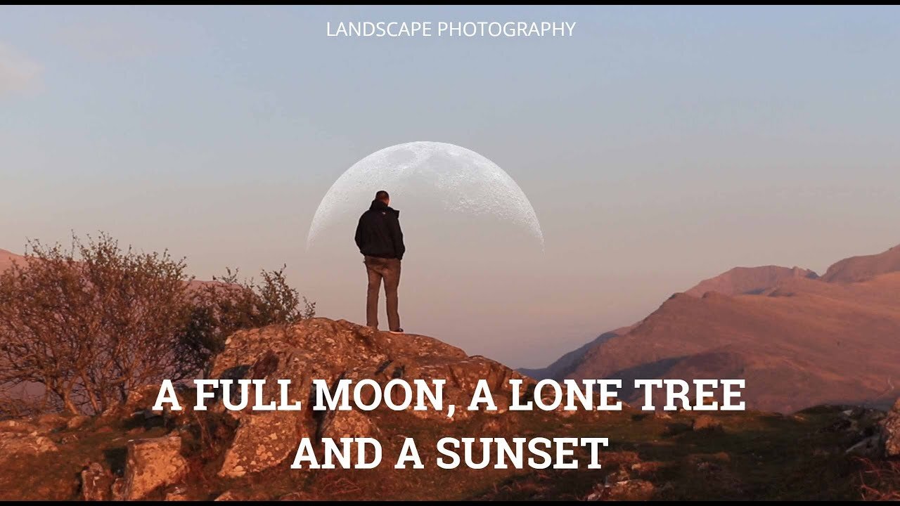 A Full Moon, A Lone Tree And A Sunset