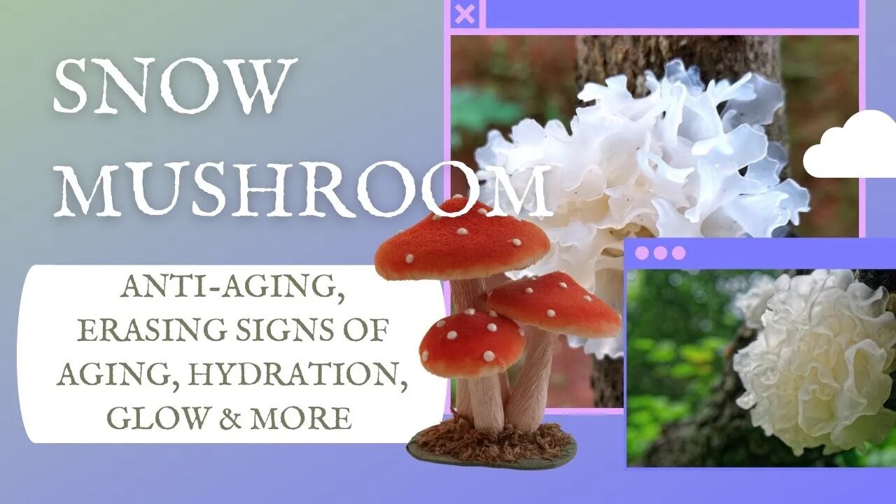 Snow Mushroom for Beauty!