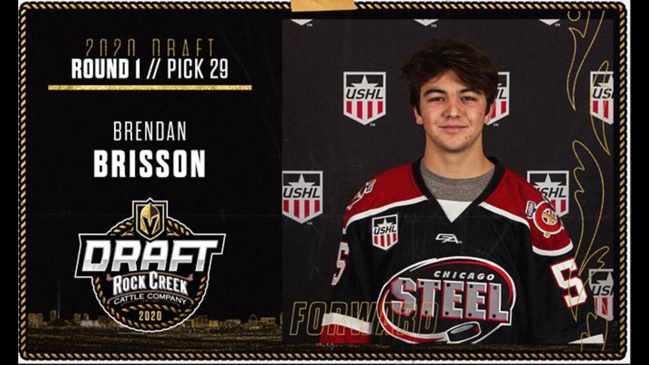 Vegas Golden Knights draft Brendan Brisson