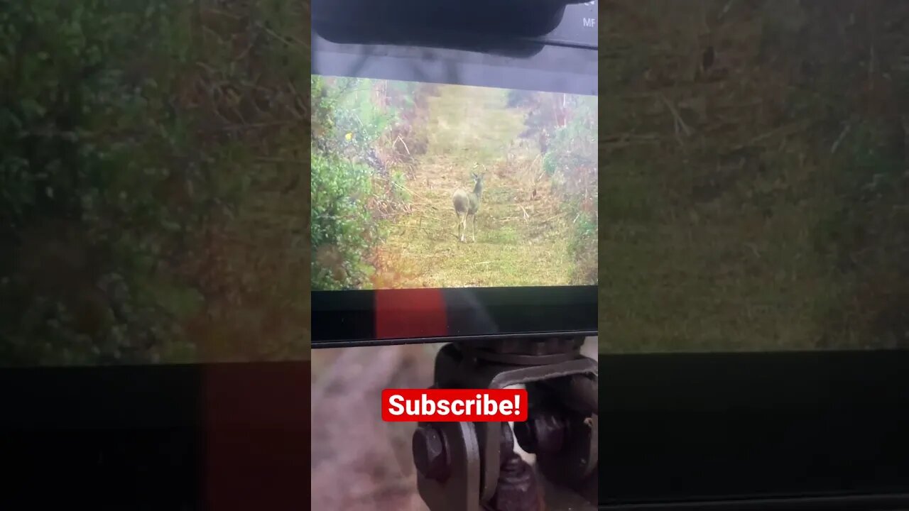 Self filming my Hunt…Watching a buck!