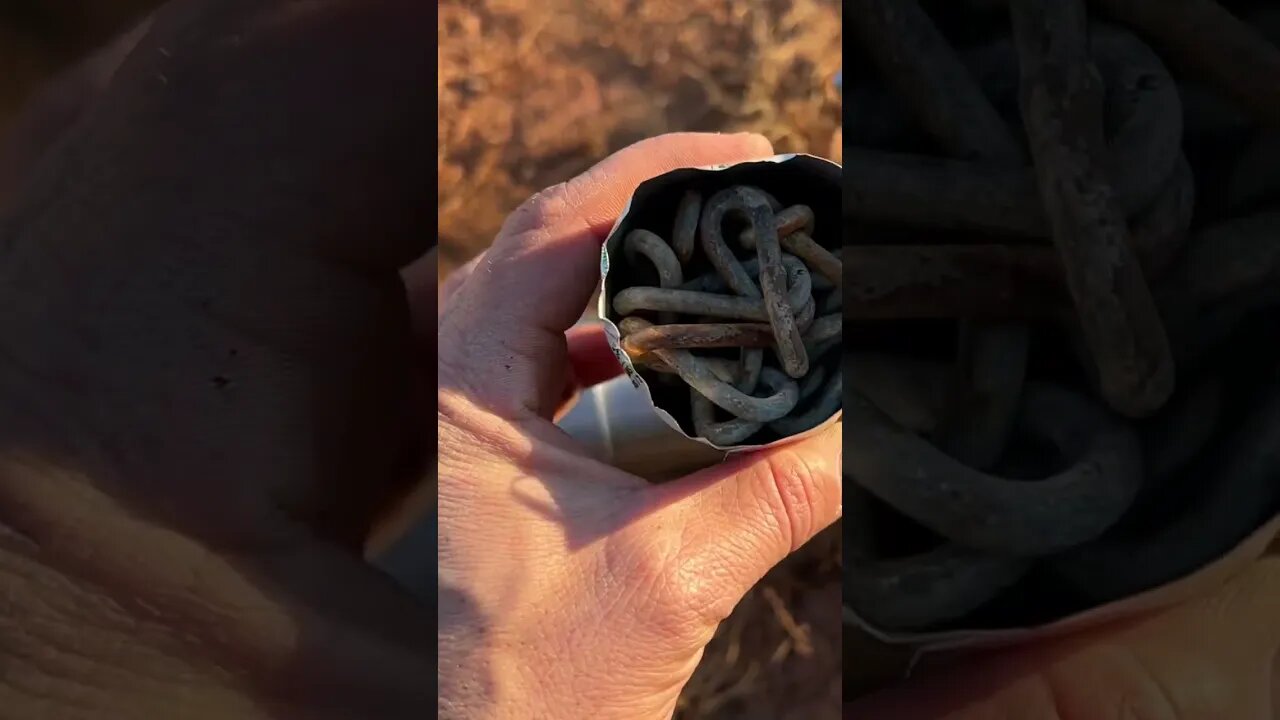 Cannon Vs A Car