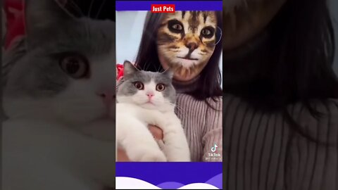 Funniest Cat reaction 2021- Fake cat mask tiktok video #shorts