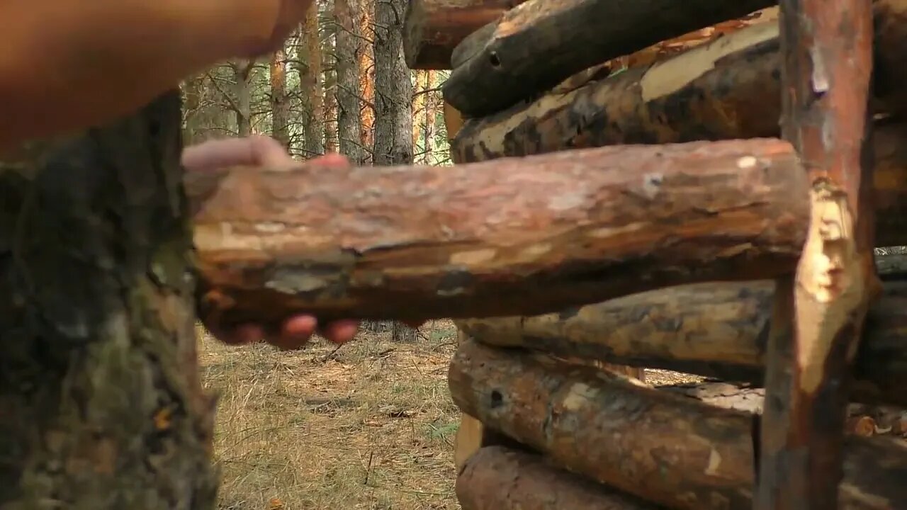 A jungle shelter in the jungle, fried eggs with sausage13