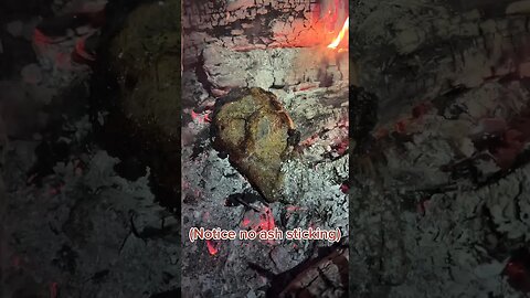 RIBEYE right on the coals! Suffer a little to eat good at camp 😉. #bushcraft #forest #outdoors