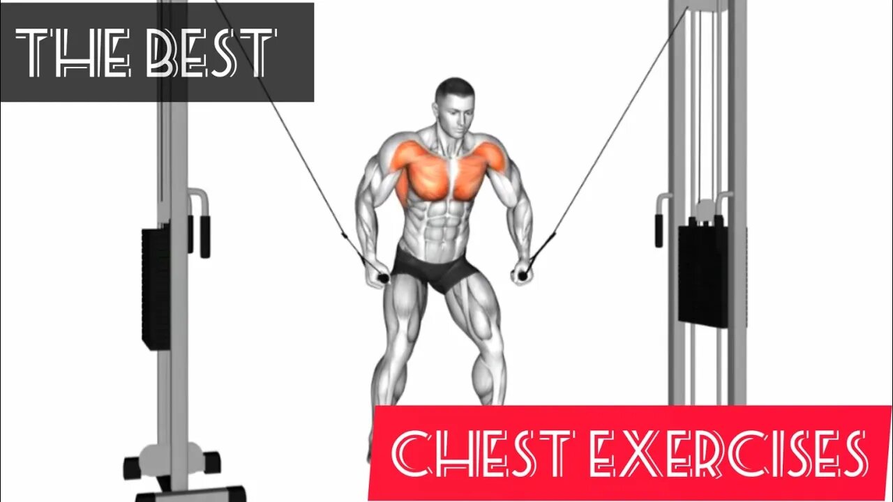 The best chest exercises (6 exercise)