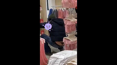 funny videos