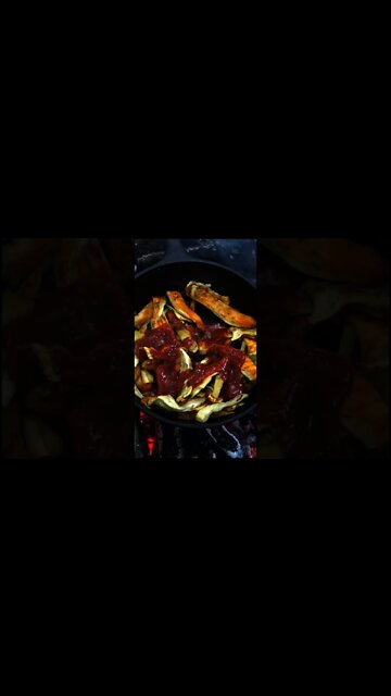 Wild Mushroom Foraging and Cooking. Chicken of the Woods, Lions Mane and Bushcraft Shelter Camp