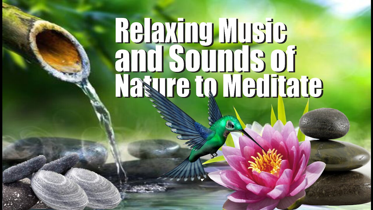 🎼 [2021] 🎼 Relaxing Music and Sounds of Nature to Meditate