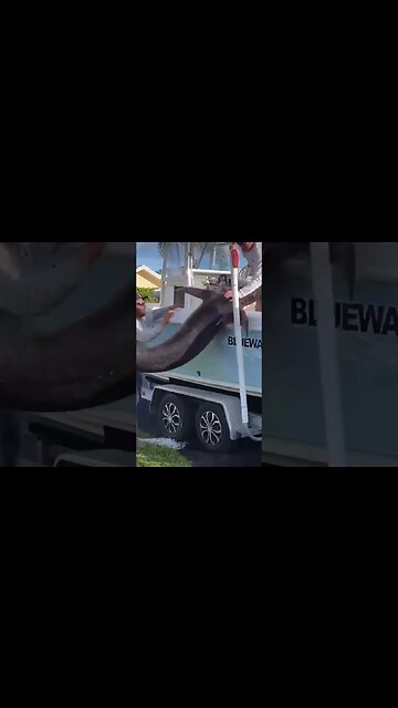 US economy-trying to carry all this debt