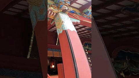 Sacred Kinnow Hachimangu Shrine near Shibuya Station #shorts