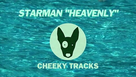 Starman - Heavenly (Cheeky Tracks)