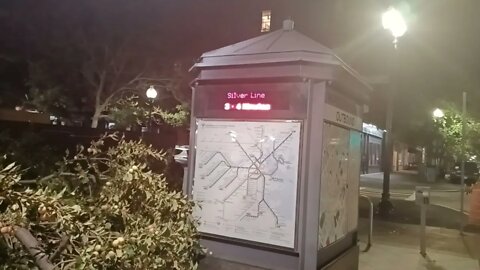 part of a apple tree that has fallen over the sidewalk