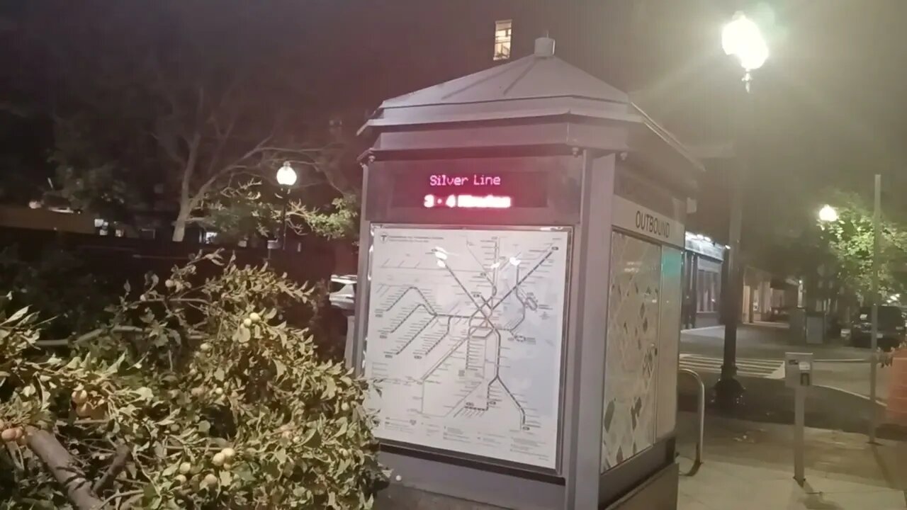 part of a apple tree that has fallen over the sidewalk