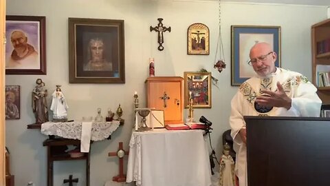 "The Vine and Branches" - Fr. Stephen Imbarrato's Homily - Wed, May 10th, 2023
