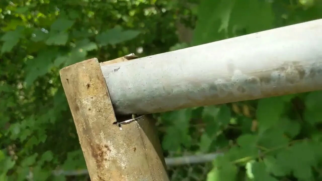 20 foot Chicken run roof support made from scrap fencing posts