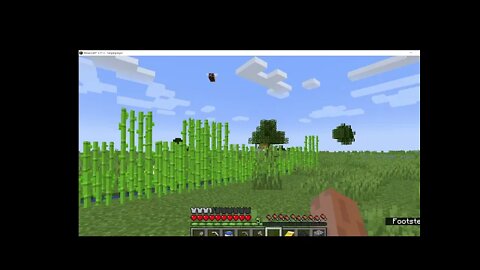 minecraft pc gameplay day 2