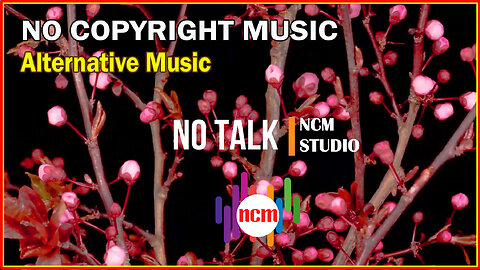 No Talk - VYEN: Alternative music, Bright Music, Travel Music @NCMstudio18