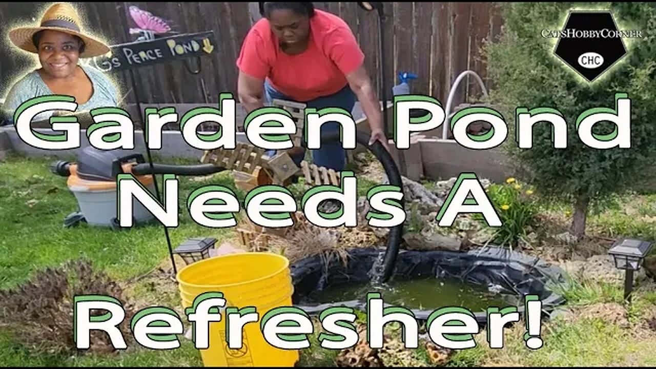 #gardendecorideas - Pond Needs a Refresher - #catshobbycorner