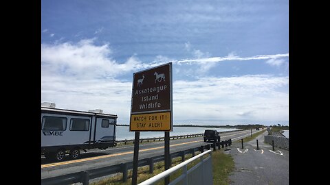 May 12, 2024 - Assateague Island