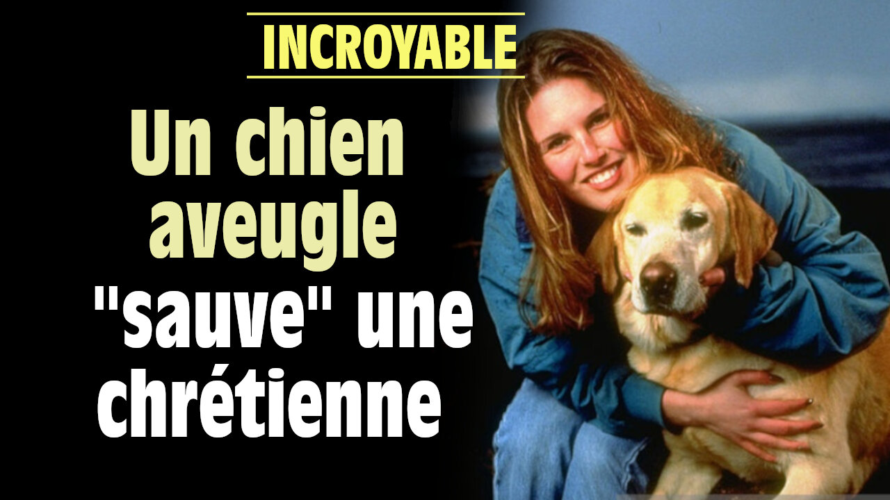 Un chien aveugle sauve une chrétienne de la noyade.