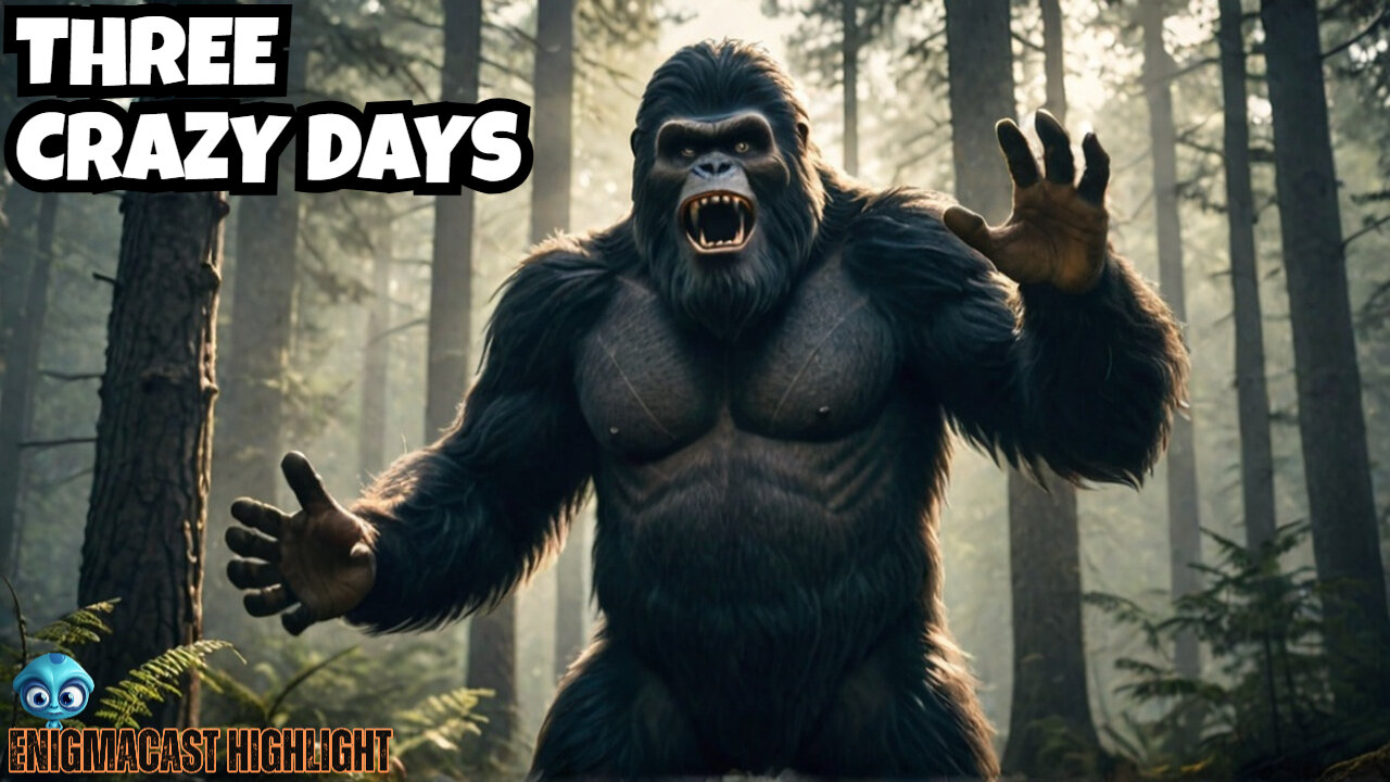 3 Days of BIGFOOT Madness! | #EnigmaCast Highlights