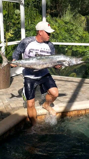 First Kingfish of 2020