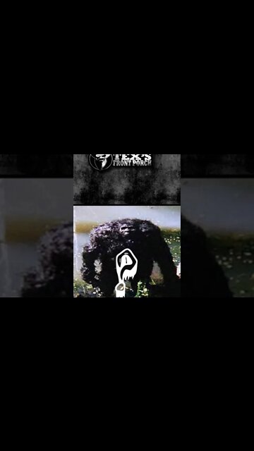 BIGFOOT MIMICKING A WHIPPOORWILL ????..