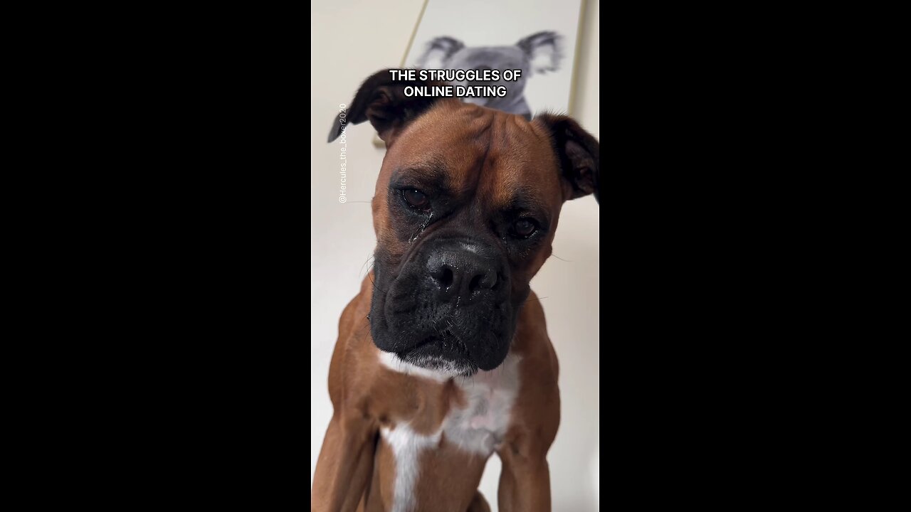 😂