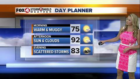 FORECAST: Hot & Sunny with Scattered Storms