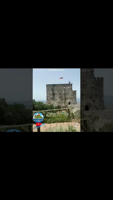 Gibraltar Moorish Castle from the 1100’s with Turtles and a Turtle Pond #shorts