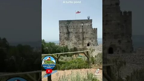 Gibraltar Moorish Castle from the 1100’s with Turtles and a Turtle Pond #shorts