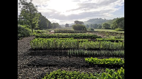 West Bovey Permaculture - Progress Update 28th May 2022