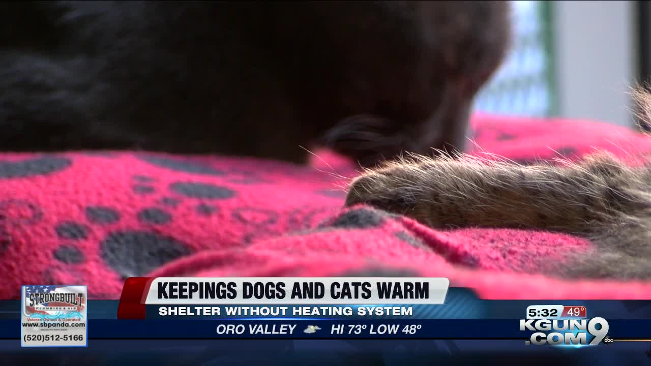 Marana animal shelter reaches out to community for help to keep animals warm