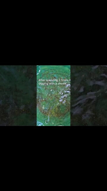 I'm still jacked on dopamine 24 hrs after this... #findinggold