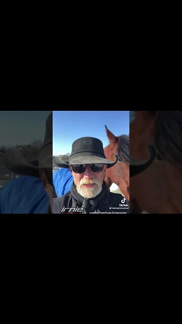 REAL CDN COWBOY Severely Injured Horse Rescue PT.3