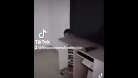 Little boy behind the t.v.