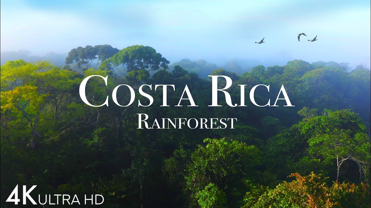 Costa Rica Rainforest 4k - Happiest Country On Earth With Exotic Wildlife | Scenic Relaxation Film