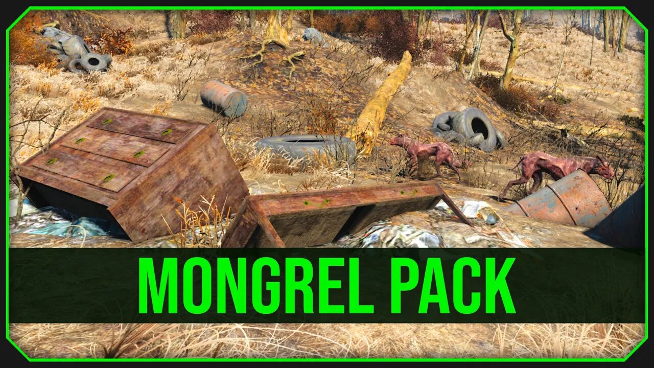 Mongrel Pack in Fallout 4 - A Guide to this Perilous Unmarked Location