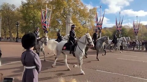 stunning White police horses trotting on the mall #buckinghampalace