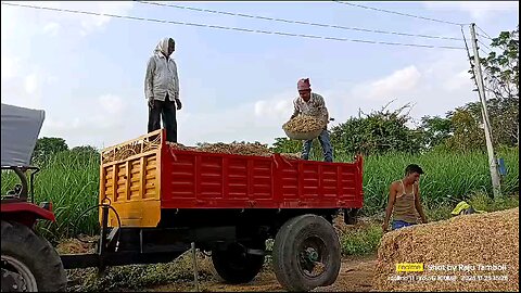 farming in village vlog