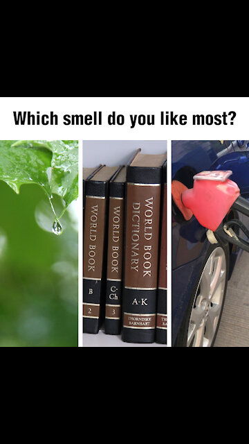 Which smell do you like most [GMG Originals]