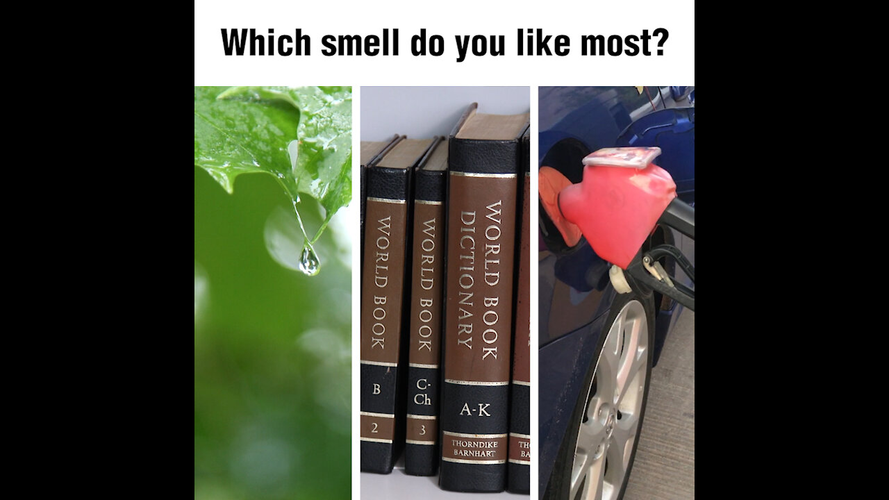 Which smell do you like most [GMG Originals]