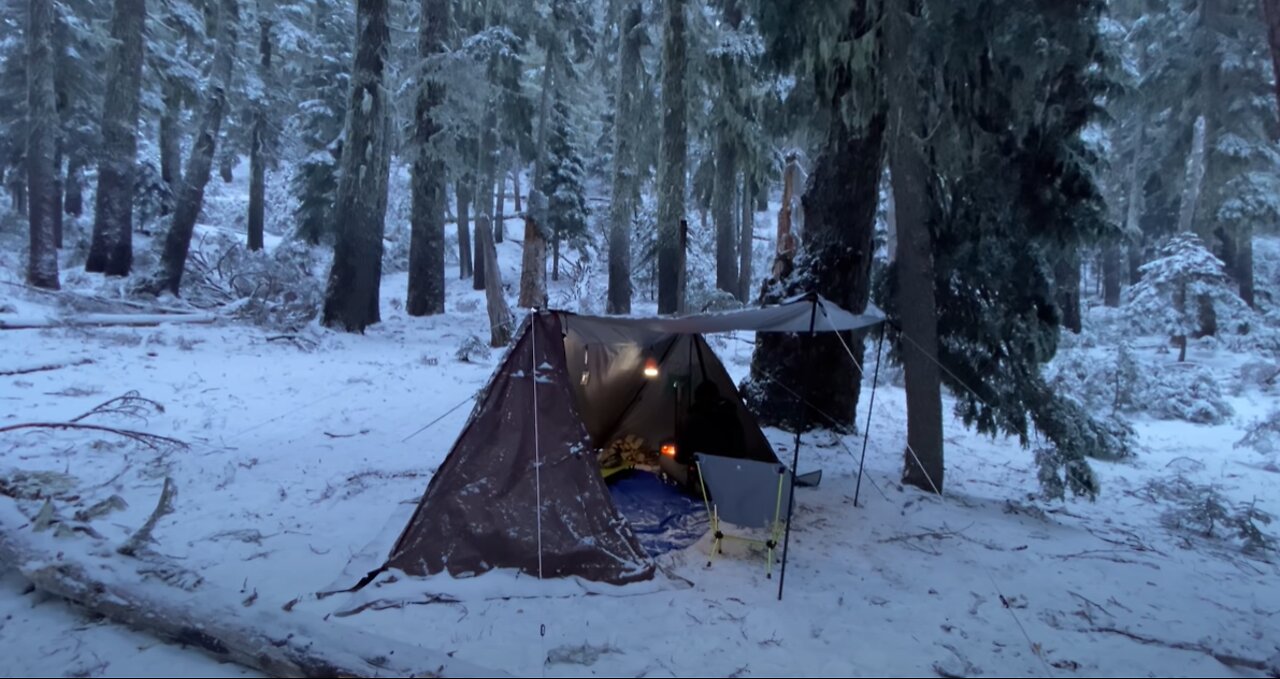 Hot Tent Snow Camping In Old Growth Forest