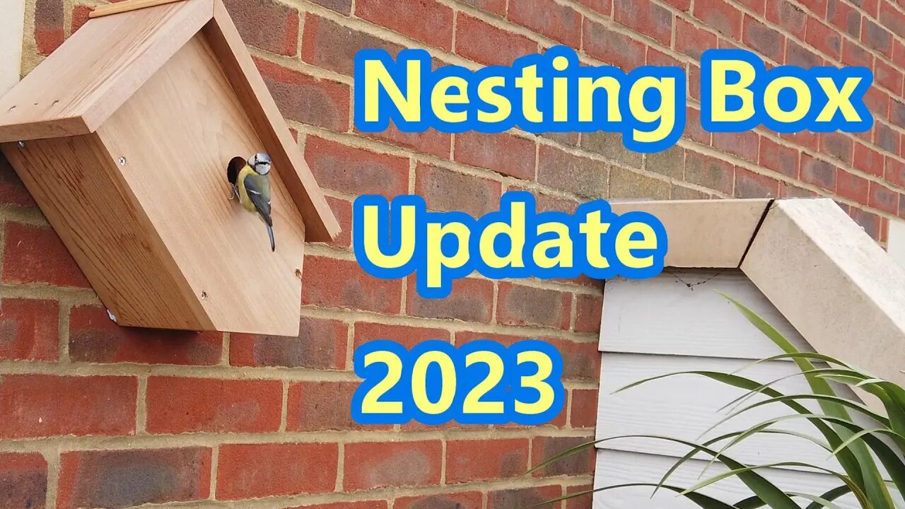 Nesting Box Update 2023