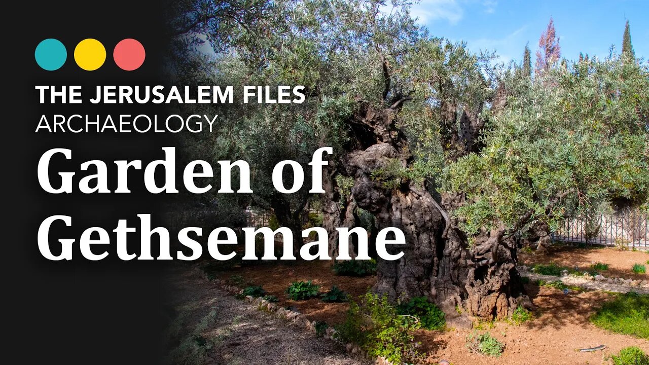 Where to camp in first century Jerusalem, The Jerusalem Files: Garden of Gethsemane