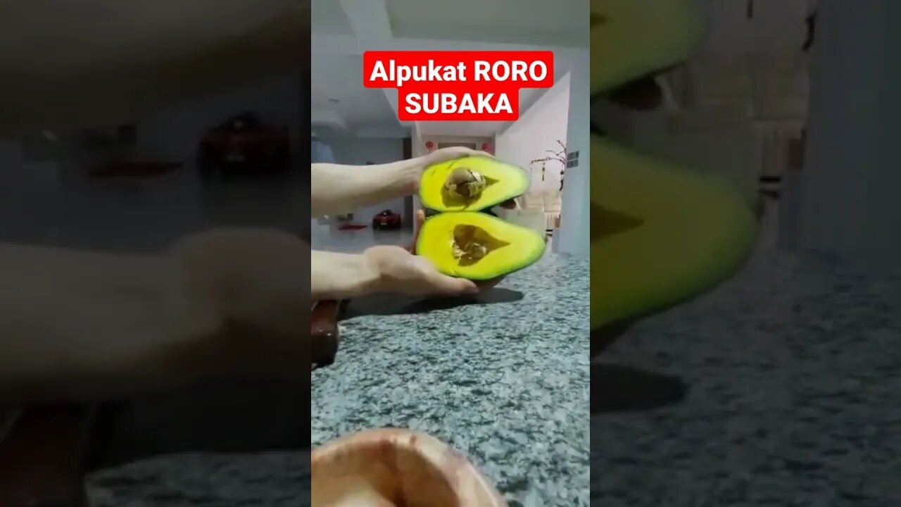 The best avocado in the world